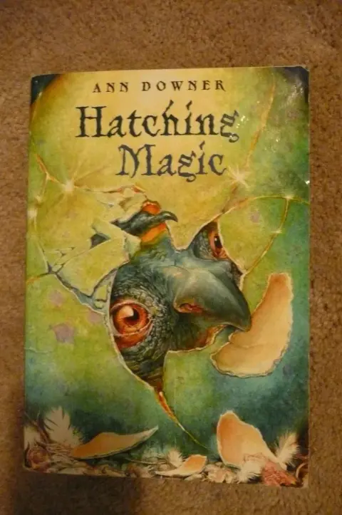 Cover of Hatching Magic