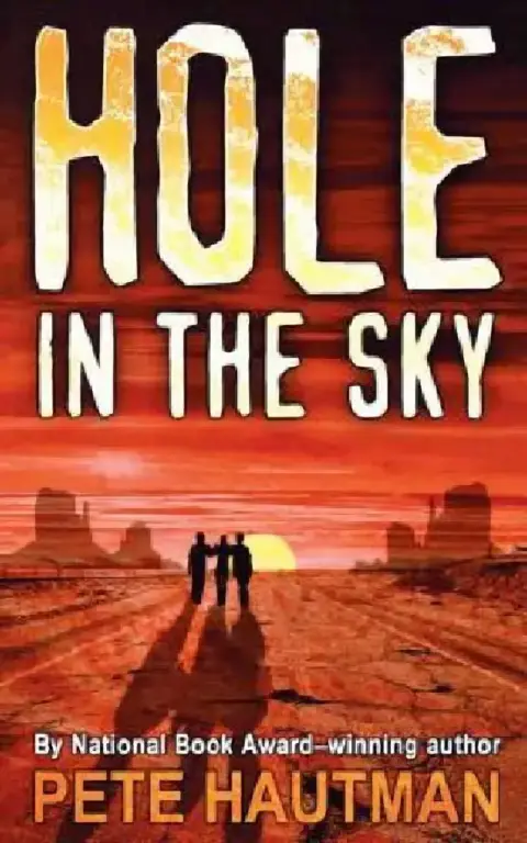 Cover of Hole in the Sky