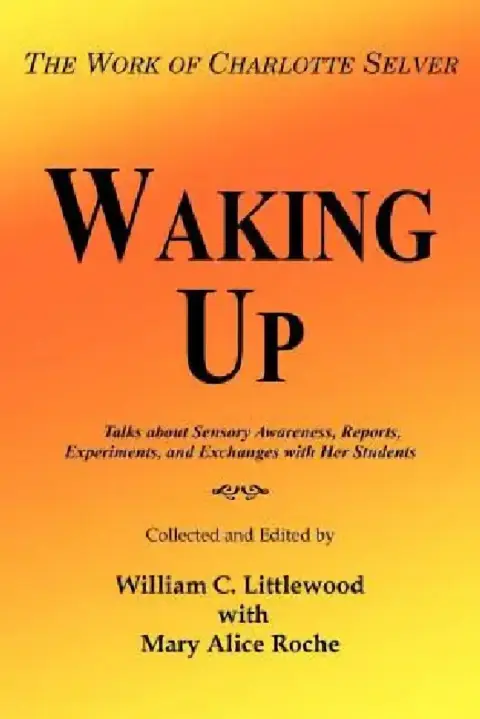 Cover of Waking Up