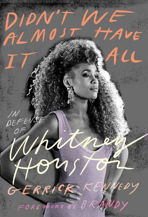 Cover of Didn't We Almost Have It All