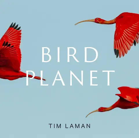 Cover of Bird Planet