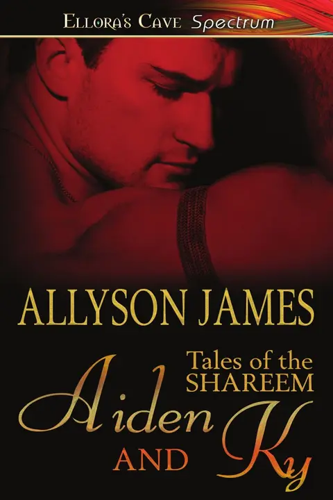 Cover of Aiden and KY