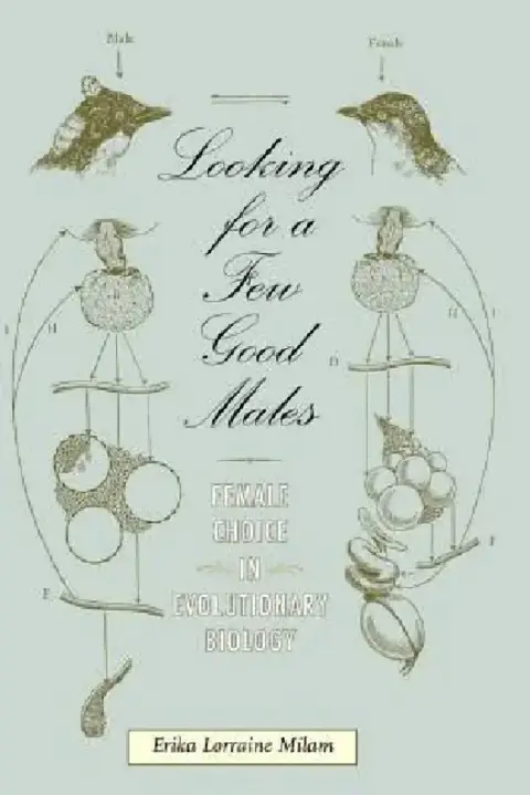Cover of Looking for a Few Good Males