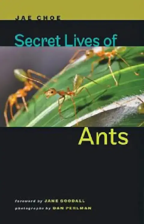 Cover of Secret Lives of Ants