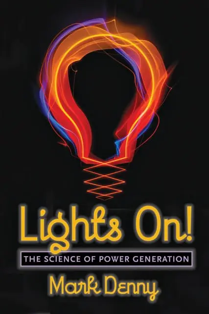 Cover of Lights on