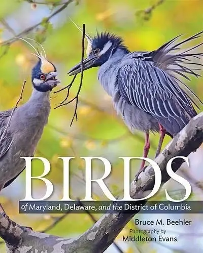 Cover of Birds of Maryland, Delaware, and the District of Columbia
