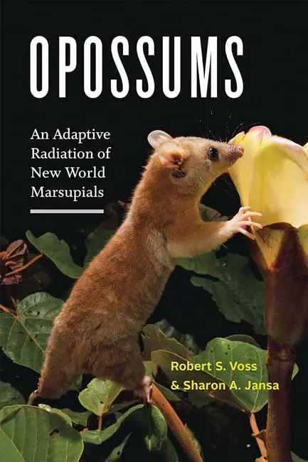 Cover of Opossums
