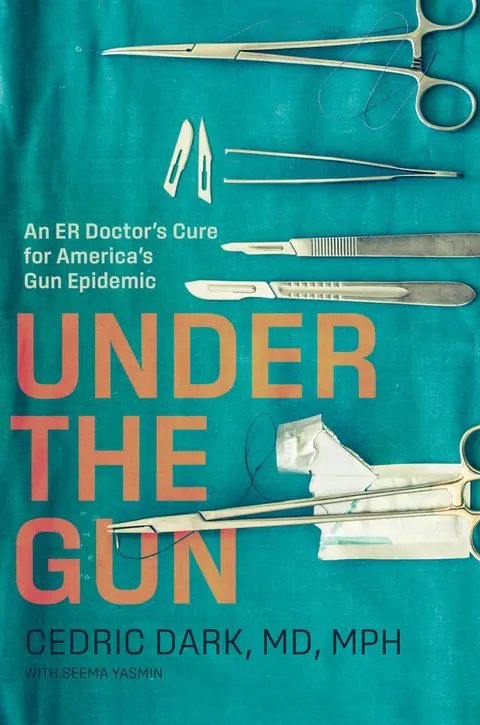 Cover of Under the Gun