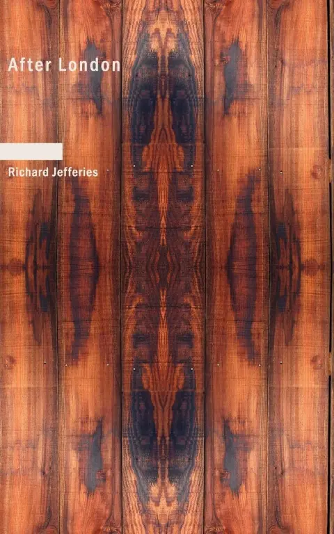Cover of After London