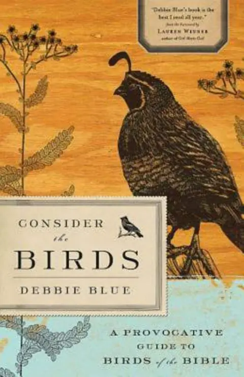 Cover of Consider the Birds