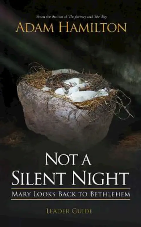 Cover of Not a Silent Night