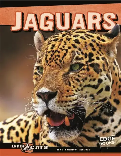 Cover of Jaguars