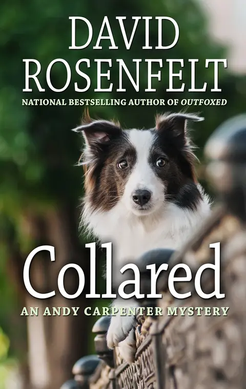 Cover of Collared