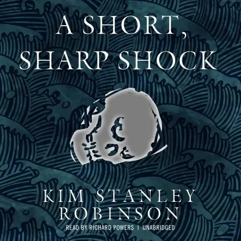 Cover of A Short, Sharp Shock