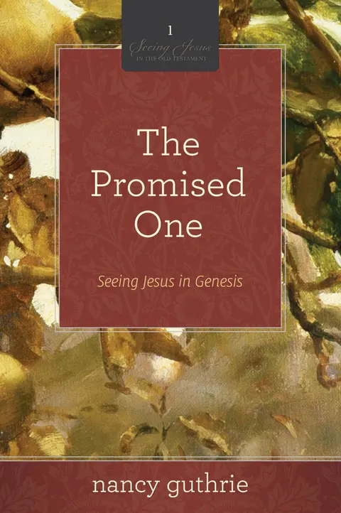 Cover of The Promised One