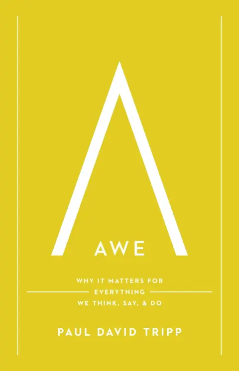 Cover of Awe