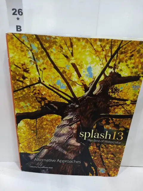 Cover of Splash 13