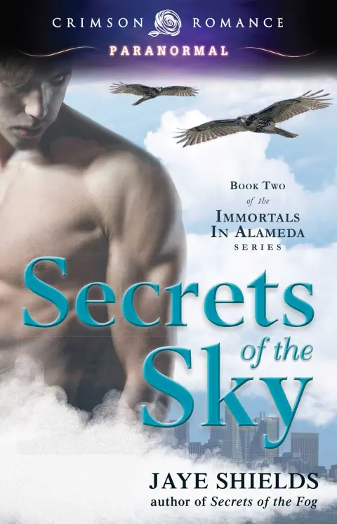 Cover of Secrets of the Sky