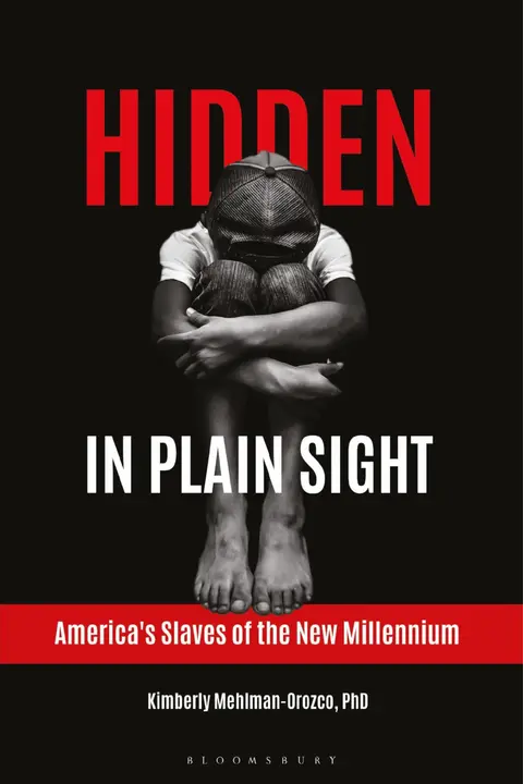 Cover of Hidden in Plain Sight