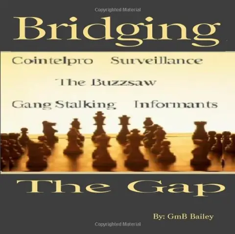 Cover of Bridging the Gap