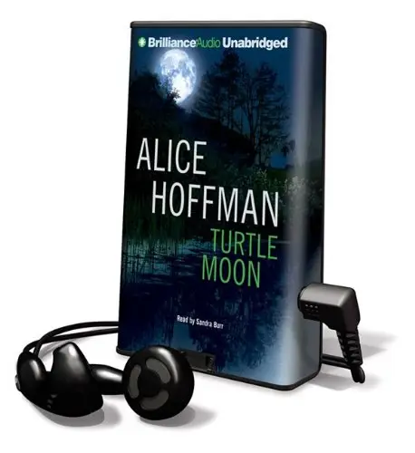 Cover of Turtle Moon