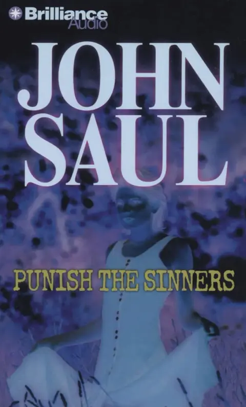 Cover of Punish the Sinners