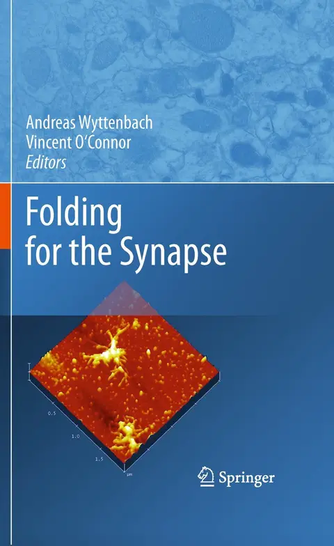 Cover of Folding for the Synapse