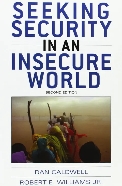 Cover of Seeking Security in an Insecure World