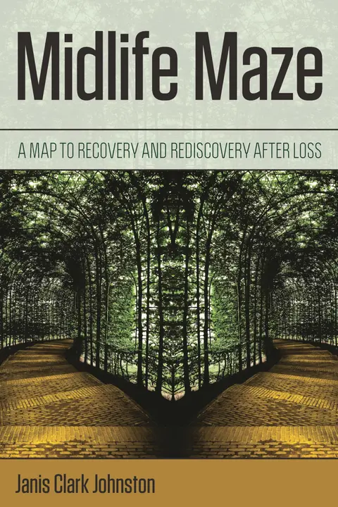 Cover of Midlife Maze