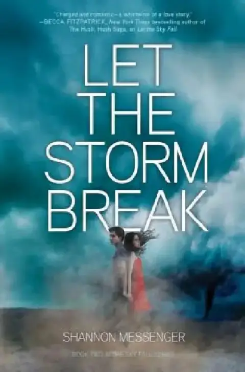 Cover of Let the Storm Break
