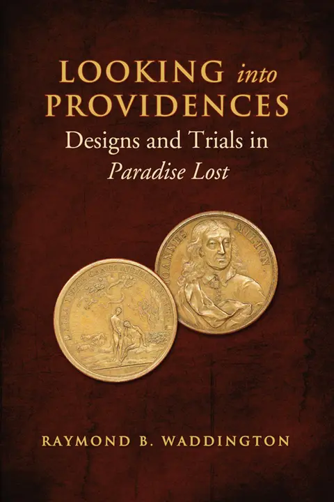 Cover of Looking into Providences