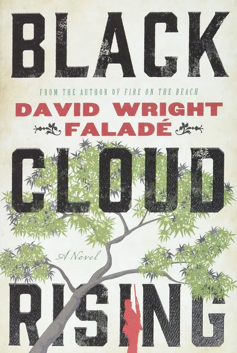 Cover of Black Cloud Rising