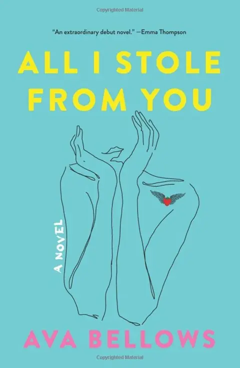 Cover of All I Stole from You