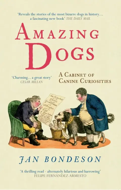 Cover of Amazing Dogs