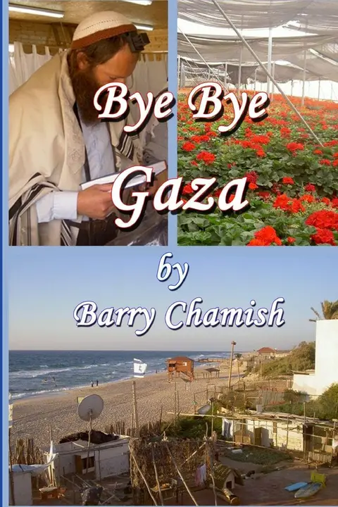 Cover of Bye Bye Gaza