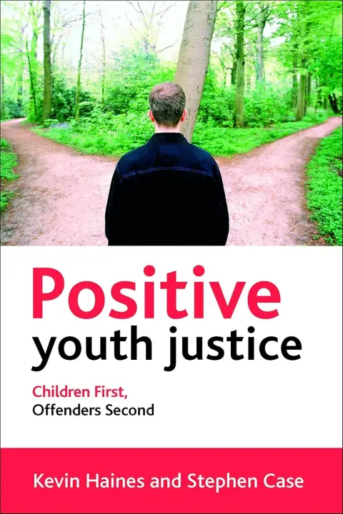 Cover of Positive Youth Justice
