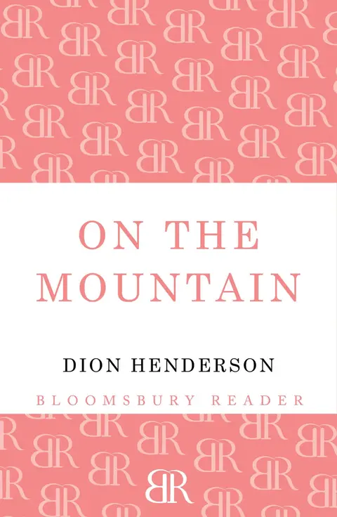 Cover of On the Mountain