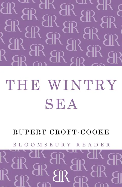 Cover of The Wintry Sea