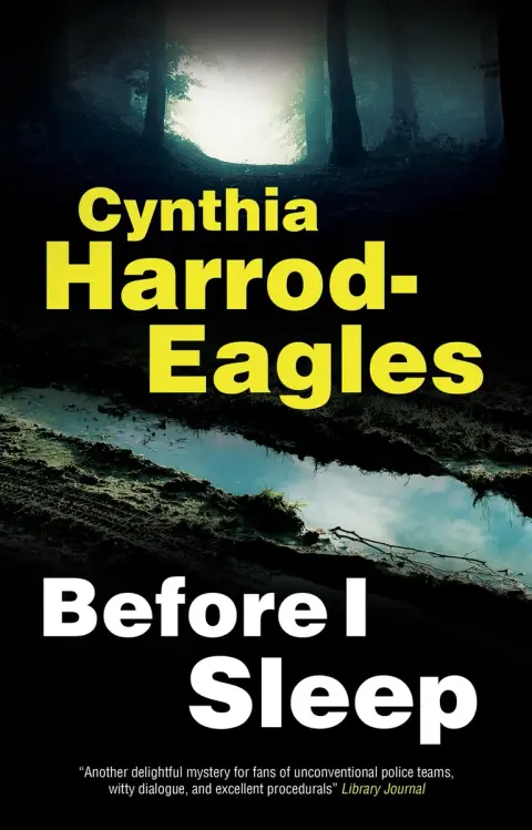 Cover of Before I Sleep
