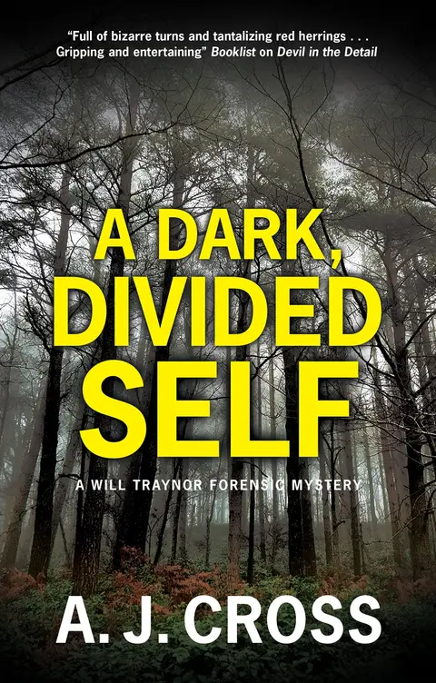 Cover of A Dark, Divided Self
