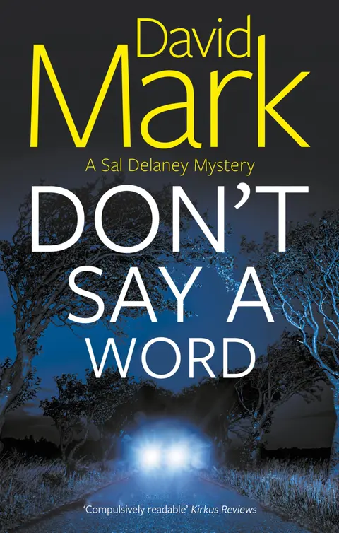 Cover of Don't Say a Word