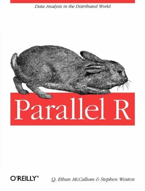 Cover of Parallel R