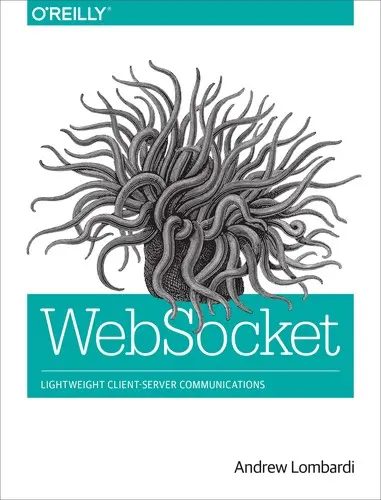 Cover of WebSocket