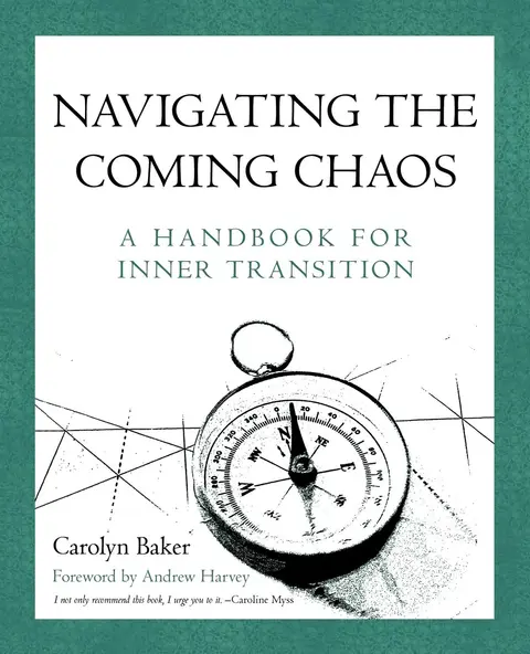 Cover of Navigating the Coming Chaos