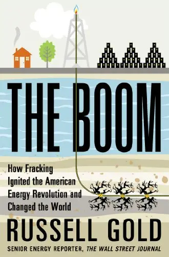 Cover of The Boom