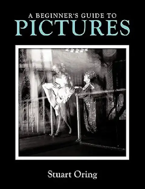 Cover of A Beginner's Guide to Pictures