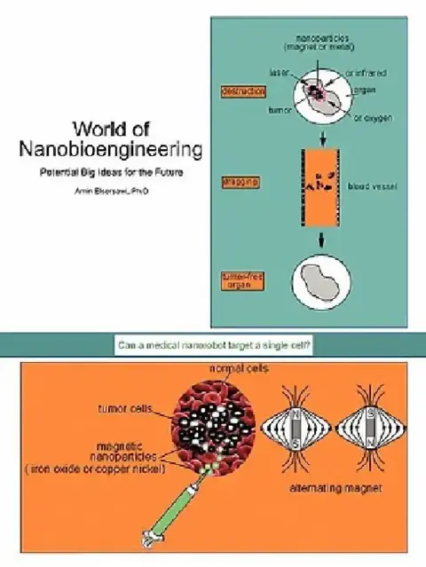 Cover of World of Nanobioengineering