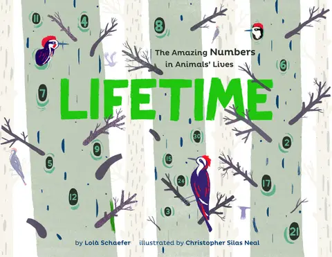 Cover of Lifetime