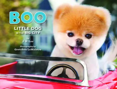 Cover of Boo