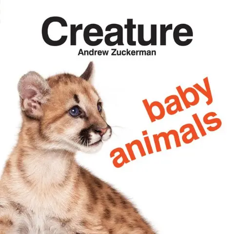 Cover of Creature Baby Animals